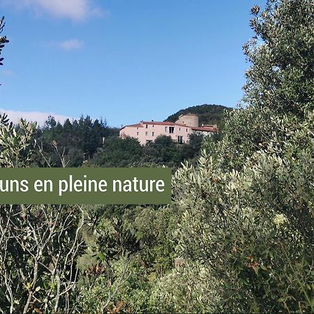 Pyrenees Mon Amour Felluns Екстер'єр фото