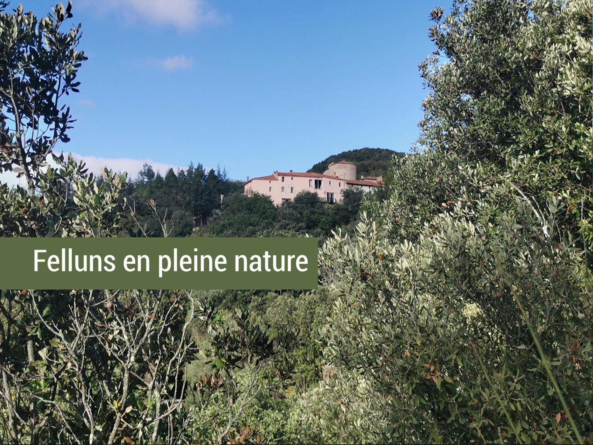 Pyrenees Mon Amour Felluns Екстер'єр фото